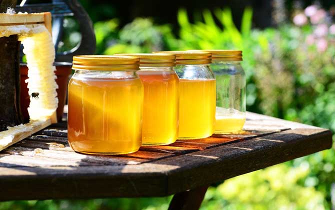 蜂蜜和什么一起喝減肥效果好？