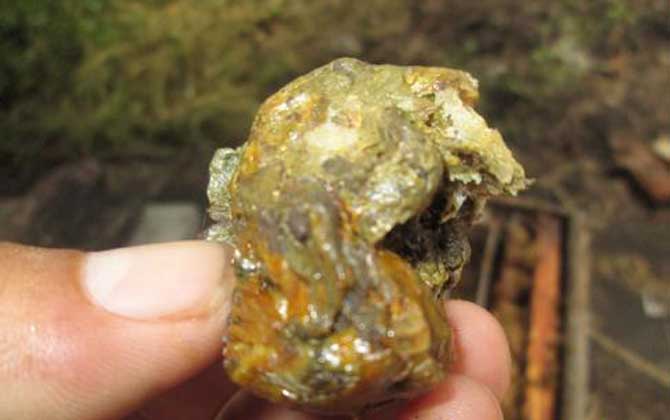 蜂膠在家里怎么提煉？