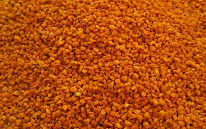 茶花粉和菜花粉哪個好？