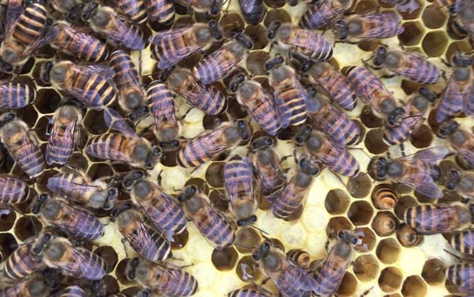 急造王臺要具備哪些條件？