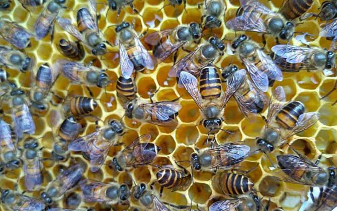 怎么判斷介王是否成功？