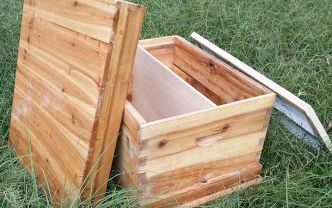 30元一個(gè)蜂箱是真的嗎？