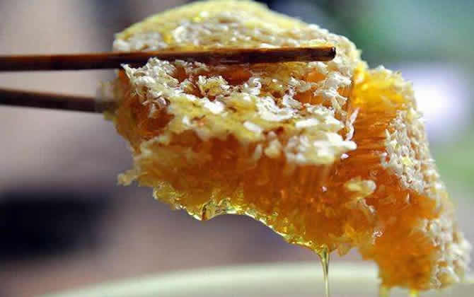 什么是土蜂蜜？